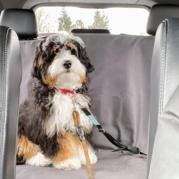 Weather Tech Dog / Pet Front Seat Protector Cover Gray DSB9002GY Made In USA - Picture 1 of 6